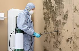 Best Forensic Mold Investigation  in Eatonville, FL